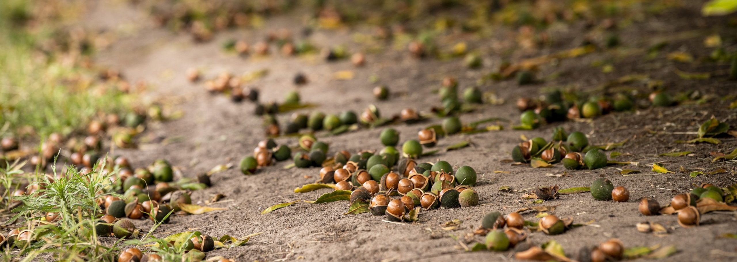 Performance Upgrade with Reinforced Finger Wheels and Reliable Rubber Parts